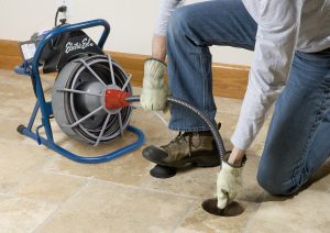 Electric Eel feeder line. Model E-AF and Z5-AF.